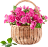 pngegg (14) pngegg (14)